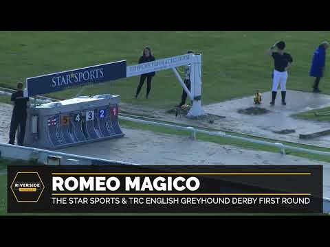 Romeo Magico - Star Sports & TRC English Greyhound Derby First Round
