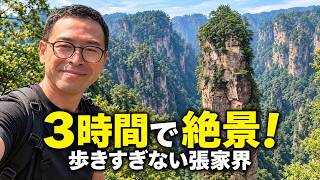 広大な張家界を約3時間で!歩きすぎず絶景を楽しむBルート