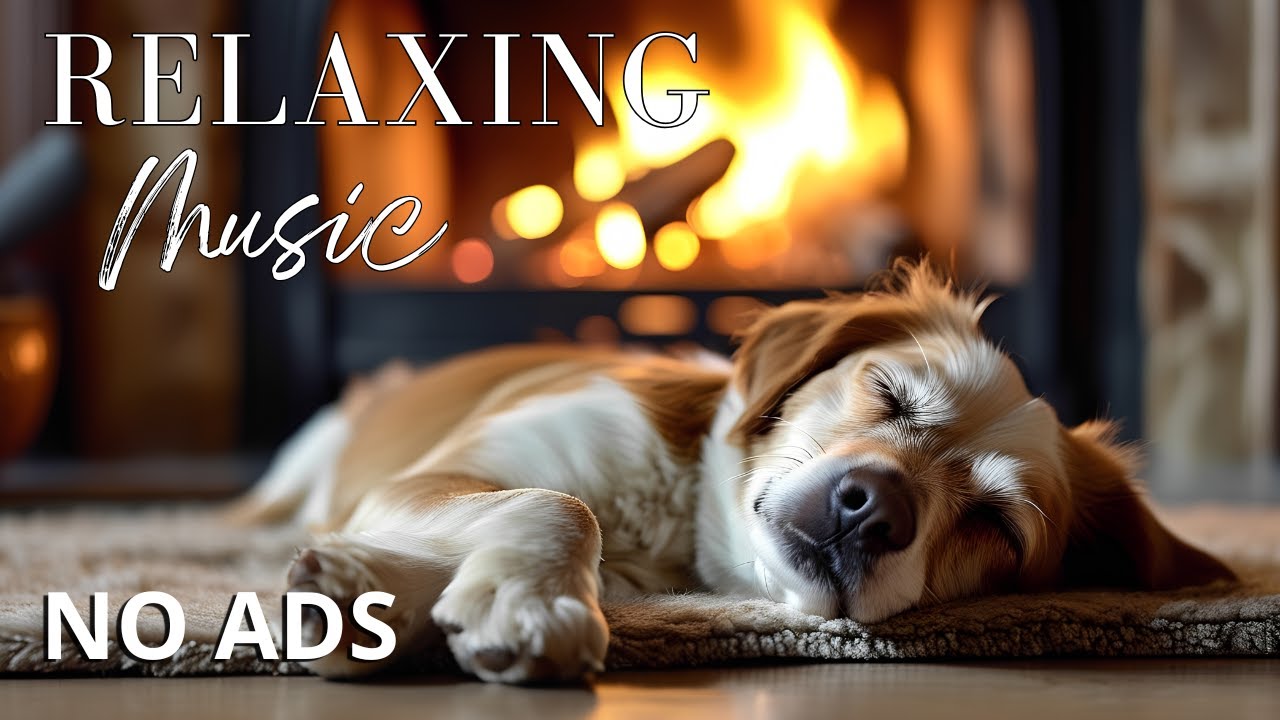 20 Hours of Relaxing Music for Dogs🦮Dog Music to Reduce Stress and Anxiety🐶Relaxing Music for Dogs