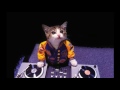Sia Never Give Up Exclusive Sound Club80 Remix VinyMix
