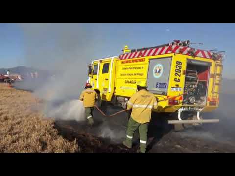 Defensa Civil intervino en más de 250 incendios forestales en agosto