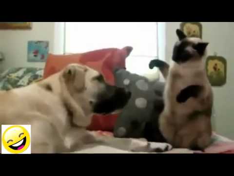 Risas!