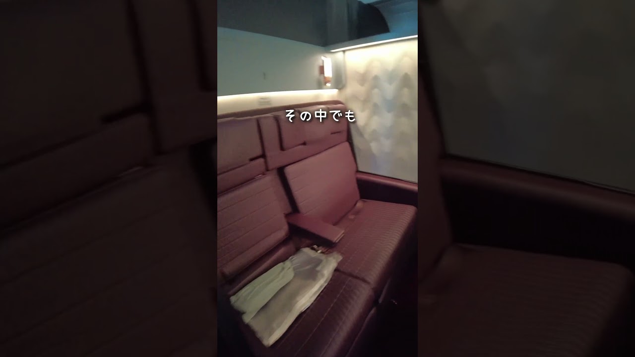 JALファーストクラスにハマりすぎた結果