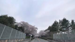 農林水産省