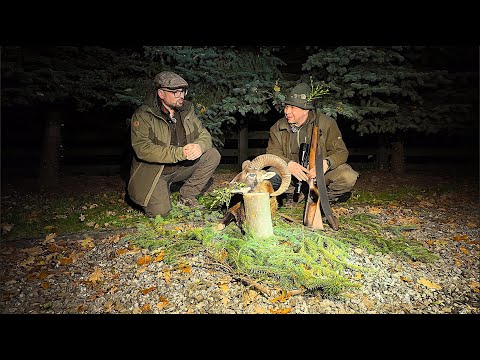 I Met Hunters - Episode 509 The rut and the first mouflon in the history of the Bielsko-Biała dis...