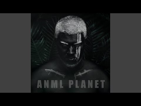 Anml Planet