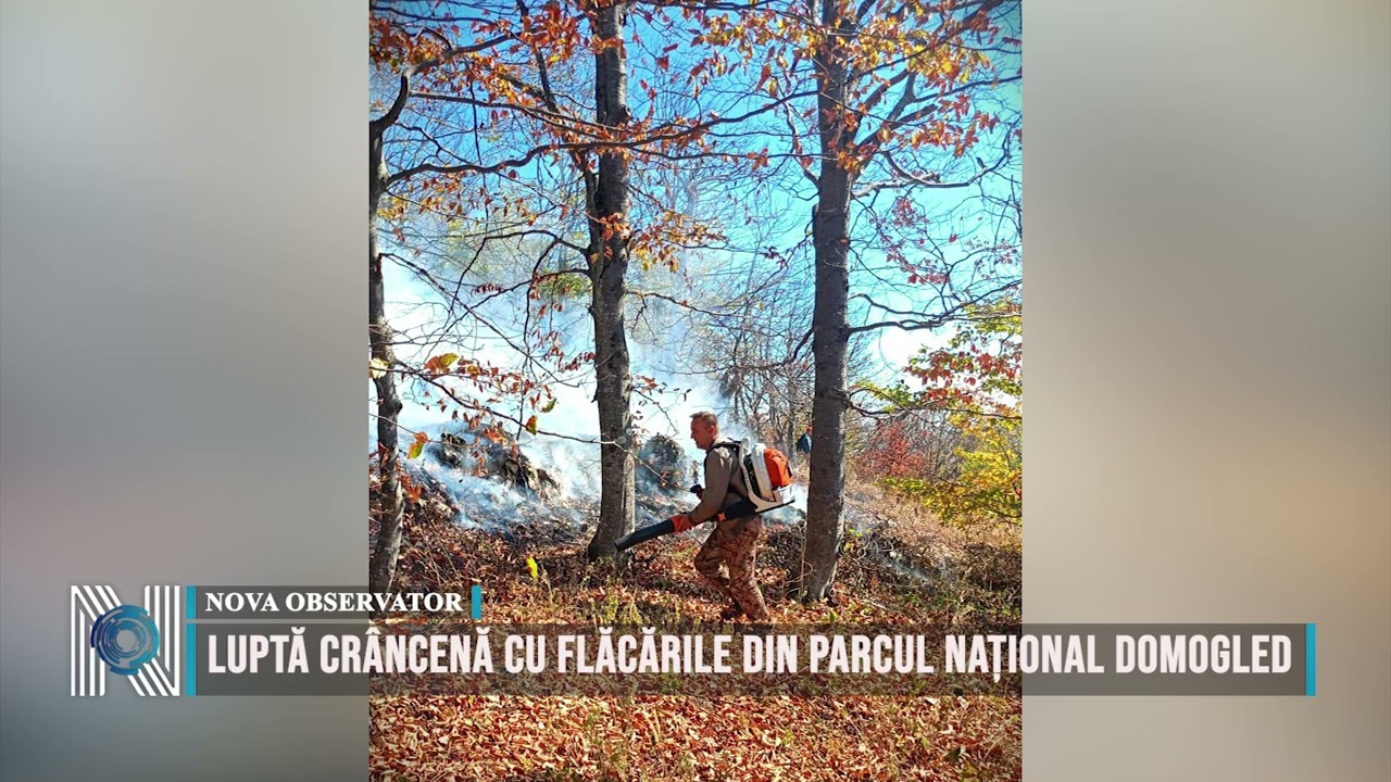 Luptă crâncenă cu flăcările din Parcul Național Domogled