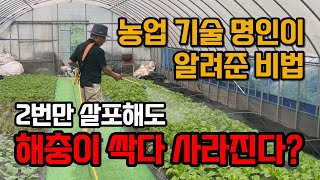 진딧물 응애 노린재 총채벌레를 한번에 박멸! 유기농 친환경 살충제 충균쇄