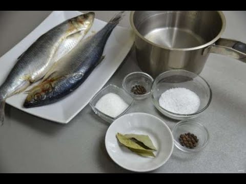 Сельдь в банке от Луча. Herring in a jar. 鲱鱼在一个罐子里