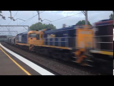 Pacific national Manildra service with 3x 81s and 2 48s