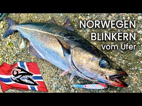 Blinkern vom Ufer in Norwegen - Spoon Fishing on Shore in Norway