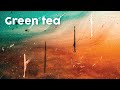 Green Tea [Lofi] - 3 Hours of background music for your Monday Blues