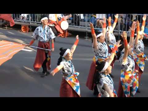 【YOSAKOIソーラン部】2019年YOSAKOIソーラン祭り大通南パレード会場演舞