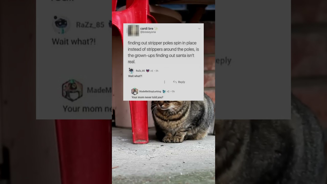 It all makes sense now