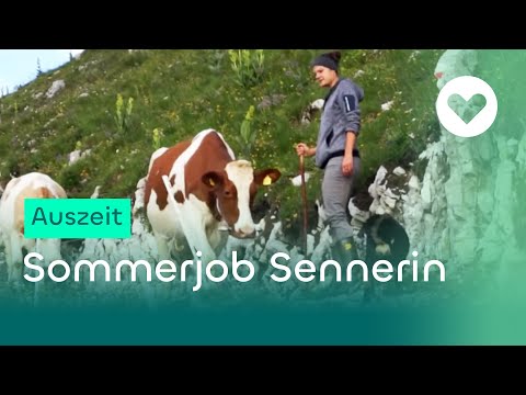 Für den Alpkäse vom Kreißsaal auf die Alm