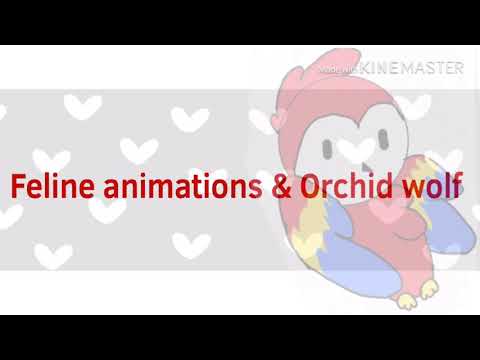 download lagu mp3 mp4 Orchid Wolf, download mp3 Orchid Wolf free downloadn, video klip Orchid Wolf