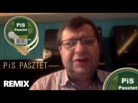 Zbigniew Stonoga - PiS pasztet ft. Led Zeppelin - Immigrant Song (kukiel pękł) REMIX