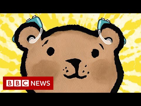ろう者の詩人とイラストレーター、絵本で学校に戻る - BBC ニュース (Deaf poet and illustrator go back to school with picture book  - BBC News)