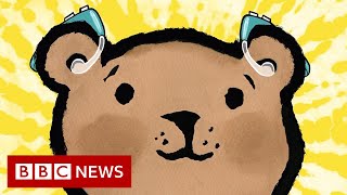 Deaf poet and illustrator go back to school with picture book - BBC News video