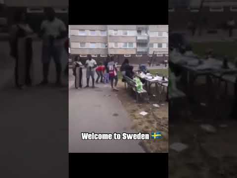 Das neue Schweden
