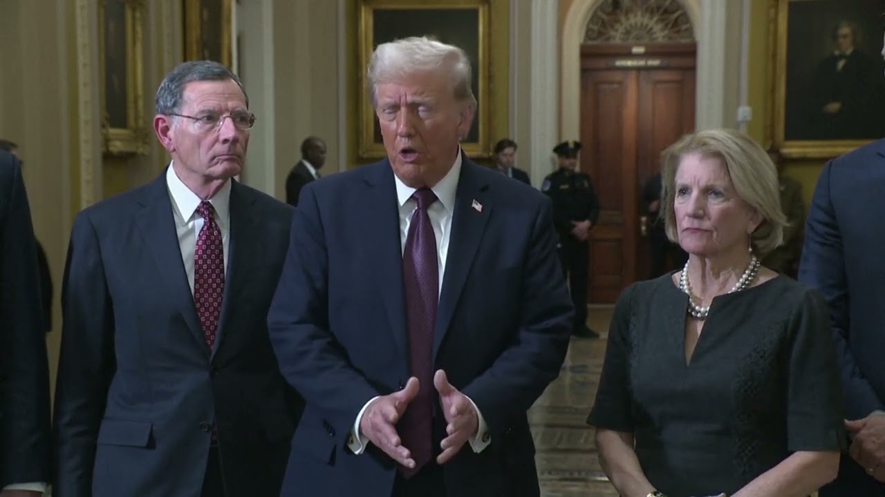 California wildfires: Trump blames Governor Newsom for water problems, calls it 'a true tragedy'