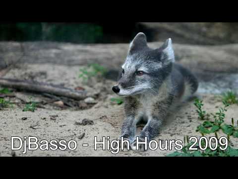 DjBasso - High Hours 2009