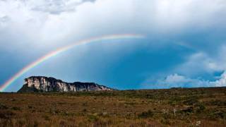 Flowers Of The Forest   Mike Oldfield
