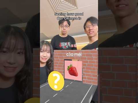 我們的中文很不錯 @ChloeChuaviolinist