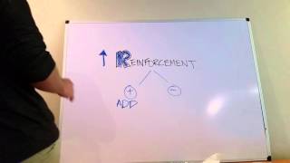 Difference Between Positive and Negative Reinforcement