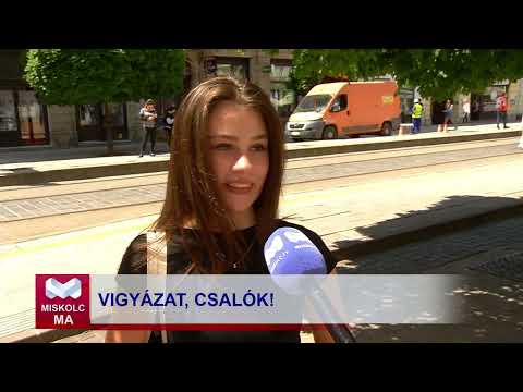 Videó előnézet