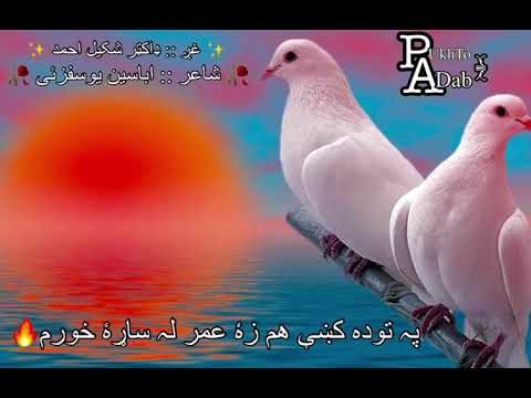 284 Abaseen Yousufzai (Pashto Poem)