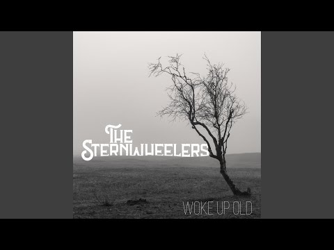 The Roaring Barmaid/Winnie Haye's/Lonesome Jig