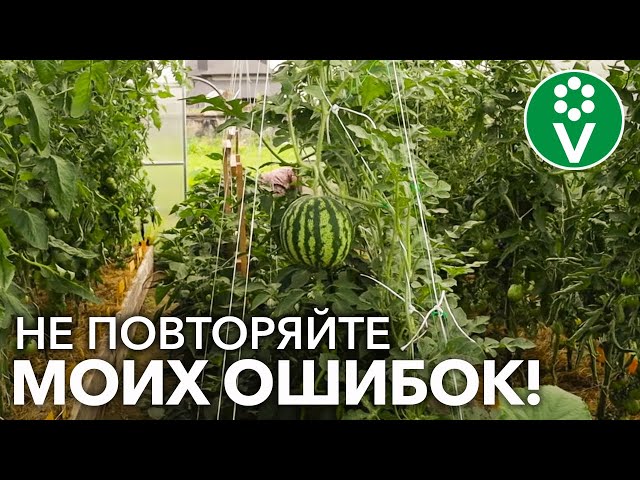 ВОТ ЧТО ОБЯЗАТЕЛЬНО НУЖНО СДЕЛАТЬ В НОВОЙ ТЕПЛИЦЕ! Эти 3 досадные ошибки уменьшат ваш урожай