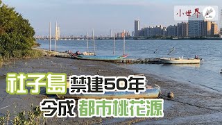 [問卦] 有沒有民調作支不支持蓋金廈大橋？