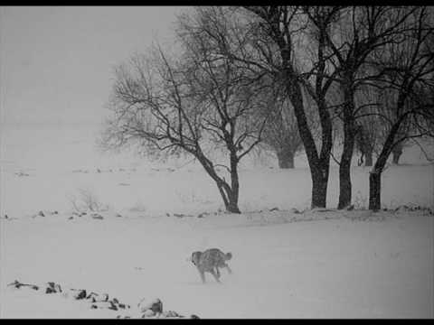 Dj Selçuk vs. Çarnewa - Melli (Kurdish Remix)