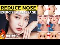 Reduce And Reshape Nose Nose Thinner Smaller Nose Shorten Slim Sharpen Nose Nose Narrow