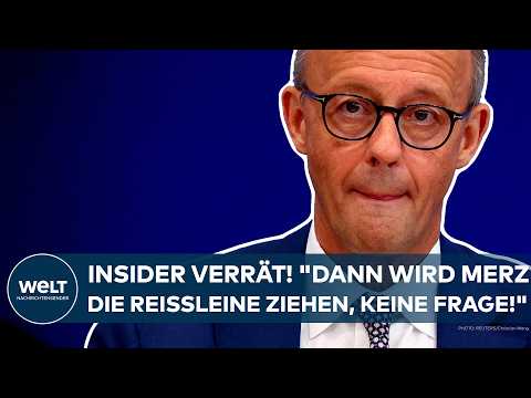 MERZ: Experte entlarvt Kanzler-Rede! "Dieses Thema, der Elefant im Raum, das hat er nicht gemacht!"