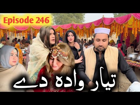 Tayar Wada De ll Khpala Weena Drama Episode 246 By Charsadda Vines Director Sadiq Khan 2026