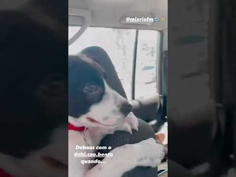 Guto Oliveira e Chico Bento ouvindo "Oceana" (OutroEu ft. Melim) na rádio - 15 de Novembro, 2020