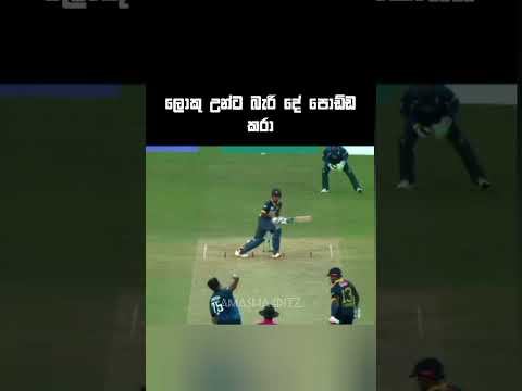 මූ නම් අනාගෙතේ වැඩ්ඩෙක් වෙනවම්‍යි🥺 #cricket #cricketlover #shortvideo #subscribe #foryou
