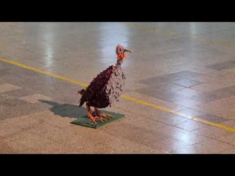 Expo Técnica 2025 E.E.T.P. N°687 Gdor. Crespo Santa Fe 