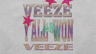 Veeze - Lose it all today (Official Visualizer)