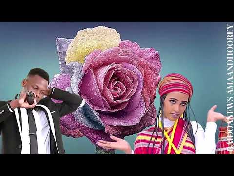 HEES MAAY    JEELKUNG IING KU DANAANITHOO FATHEE   EDKII ABAAS ALASKA   ALIFAADDII AFYAAL DAAFEETHOW