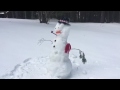 Goodbye Snowman