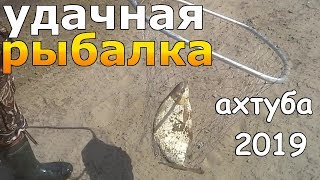 Ловля сазана в апреле на ахтубе