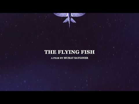 The Flying Fish  - Trailer