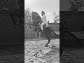 Waaka Song New Punjabi Song Jatt Punjabi Status Jatt Attitude Shayari Status Punjabishayari Viral