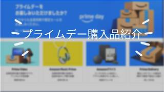 【Amazonプライムセール】購入品紹介　ガジェット系・フェイクグリーン・フェイスタオル　計4点