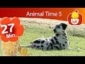 Animal Time 5 Luli TV Specials Cartoon For Children Luli TV