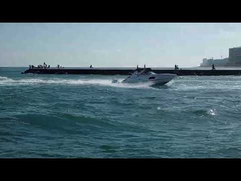 Miami Live Video #560